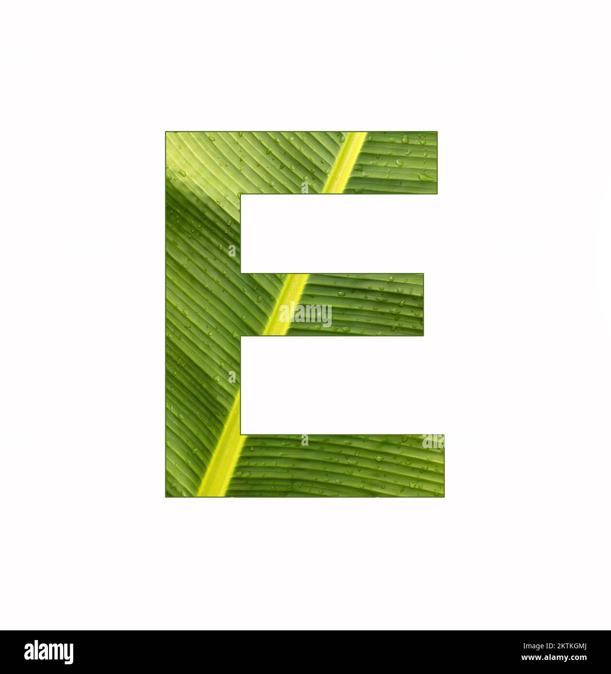 Alphabet Letter E - Banana plant leaf background Stock Photo