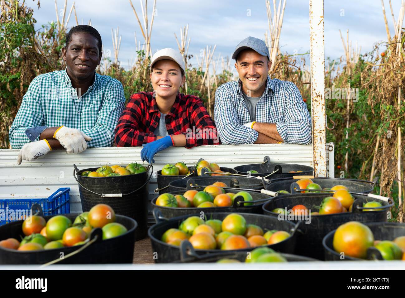 Happy team of farmers standing near truck loaded with harvested ...