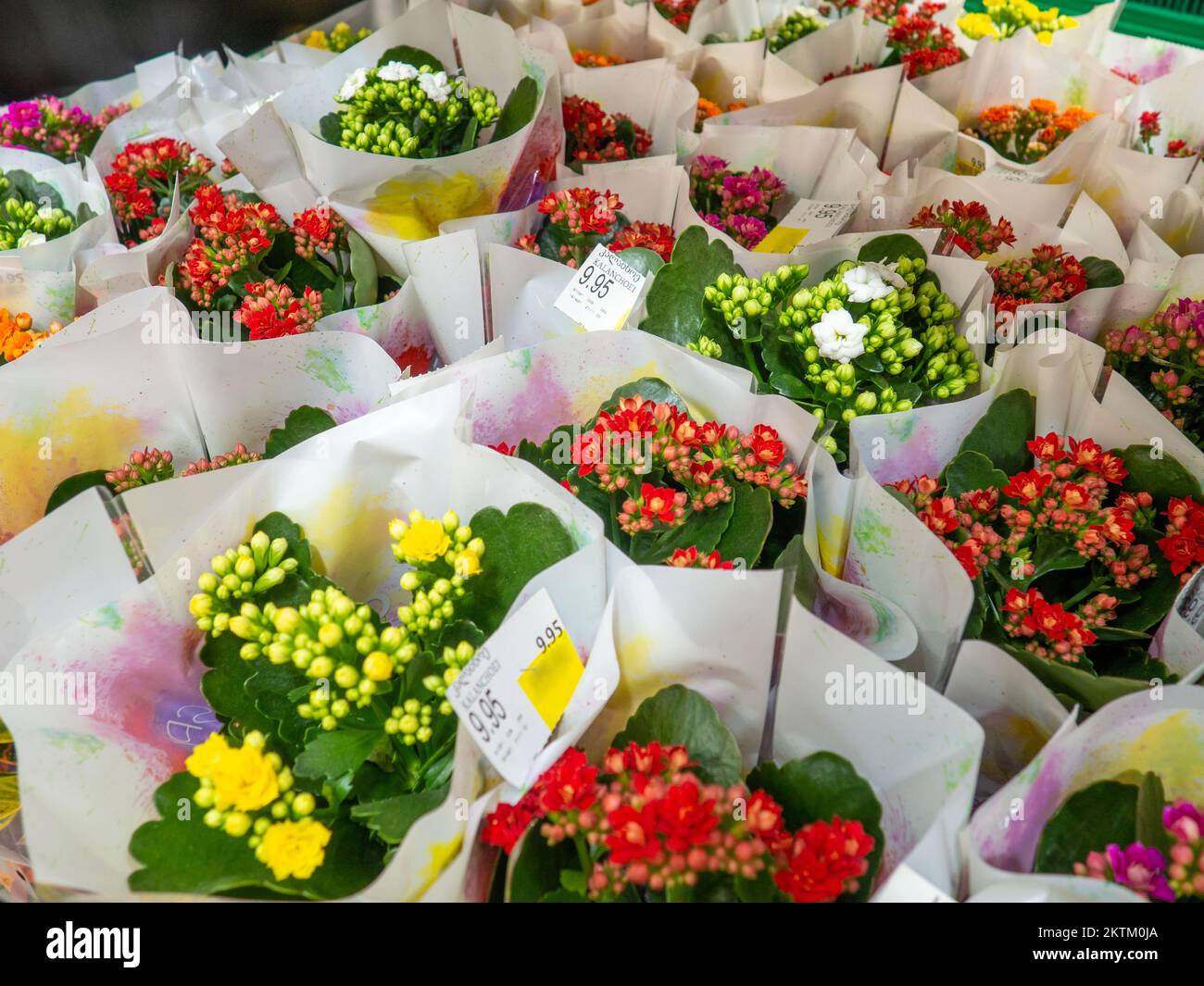 Store shelves. Bouquets of flowers. Flowers of different colors. Flower