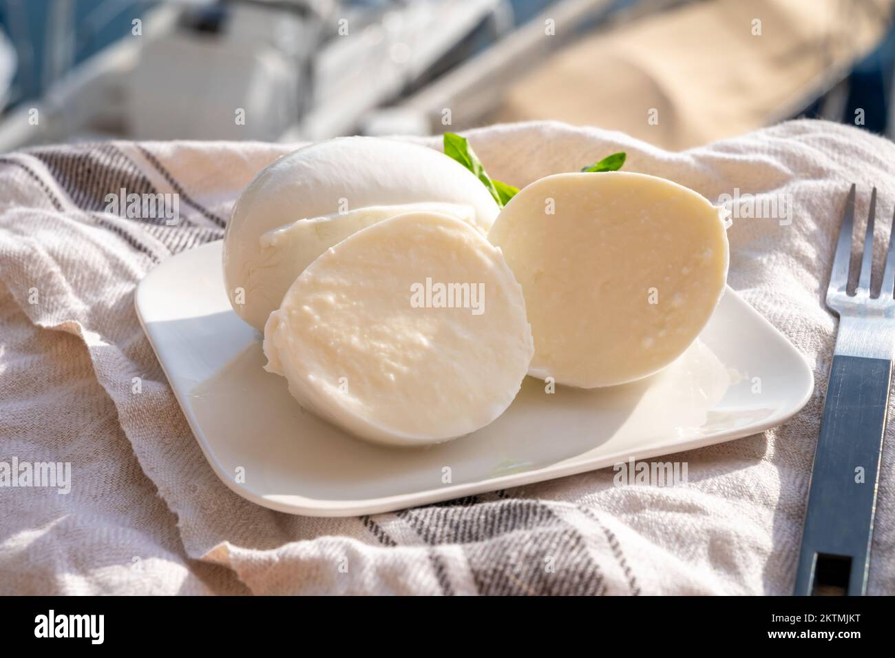 Tasting of white soft italian balls mozzarella cheese made from buffalo