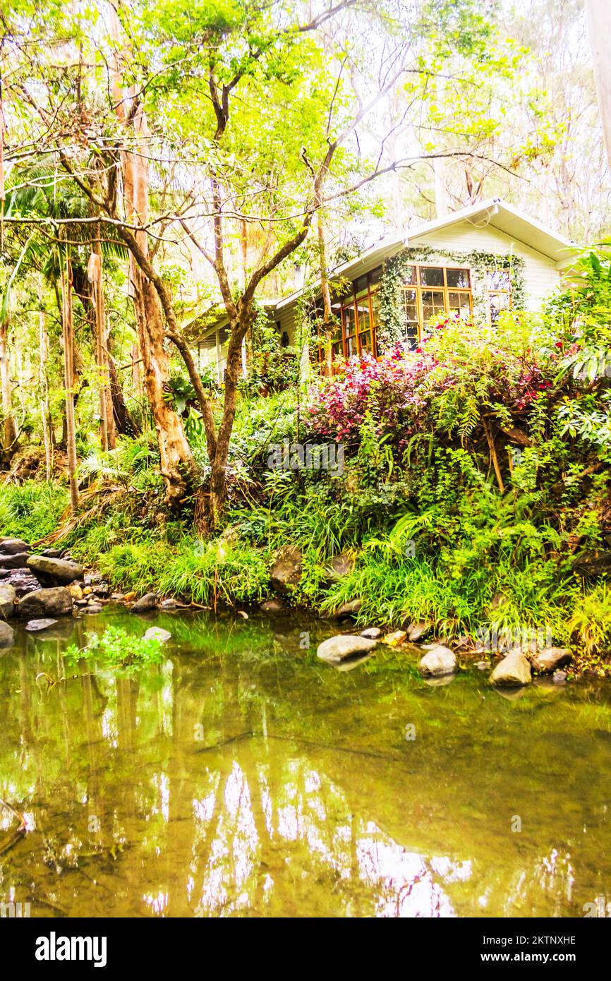 Scenic cabin in lush green tropical forest with rocky stream. Thunderbird Park