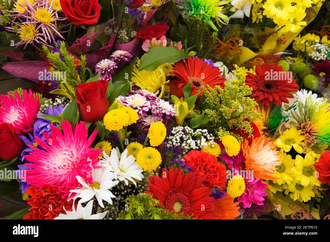 Red Gerebra, white Bellis perennis - Daisy and other assorted freshly cut flowers for sale at outdoor market in spring. Stock Photo