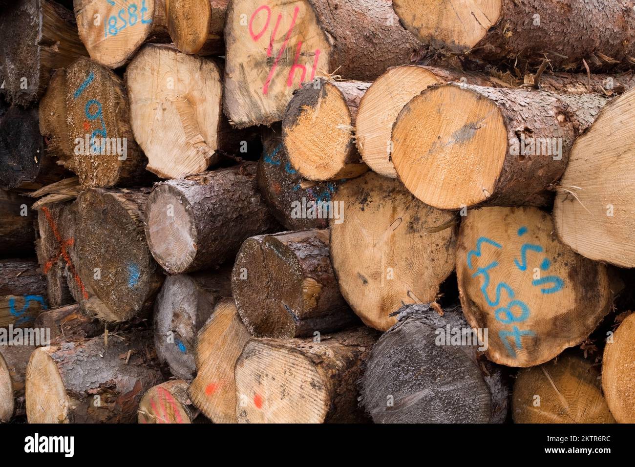 Timber logging canada quebec hires stock photography and images Alamy