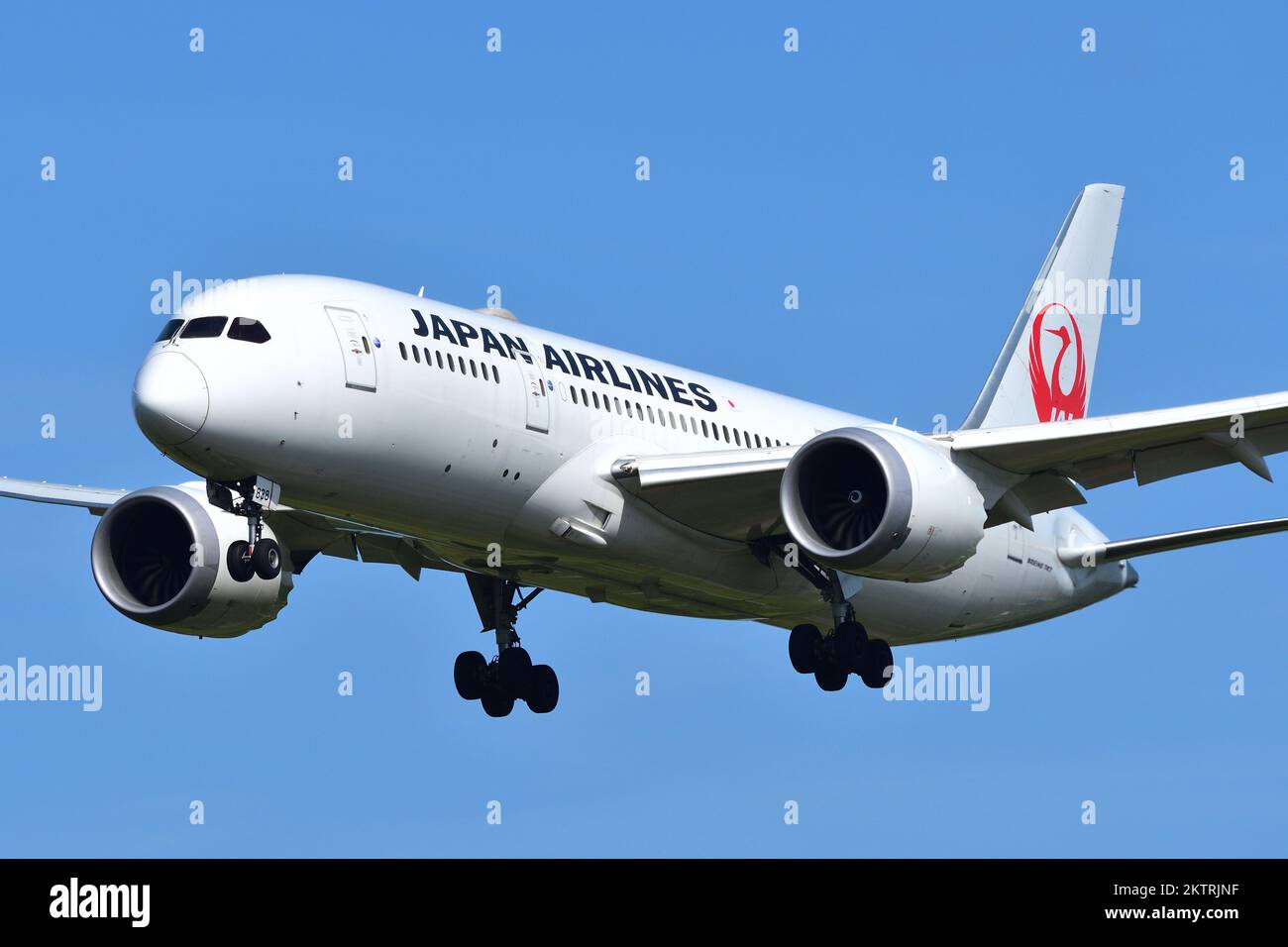 Jal 787 8 hi-res stock photography and images - Alamy