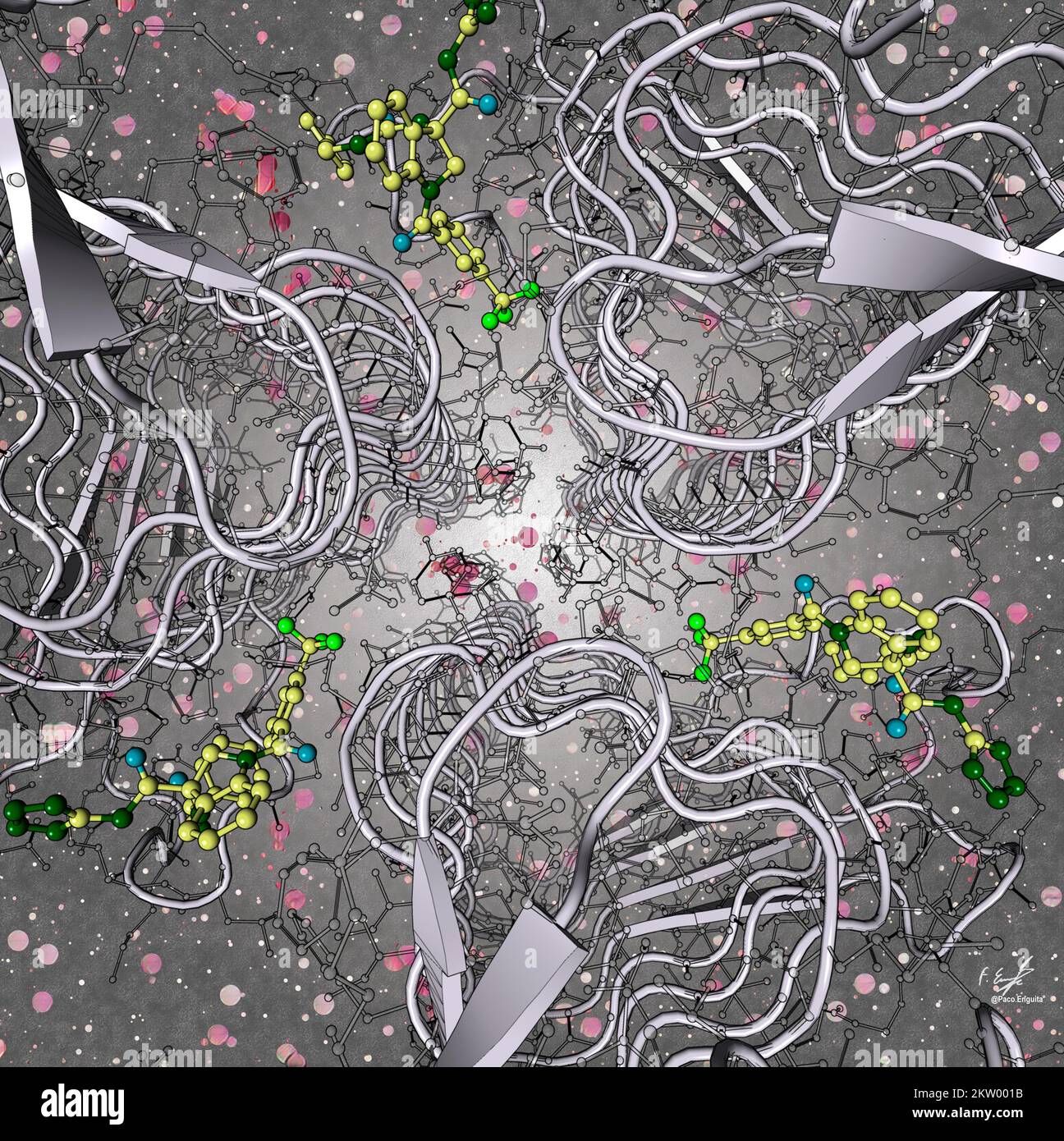 LpxA lipid biosynthesis enzyme and inhibitor, illustration Stock Photo