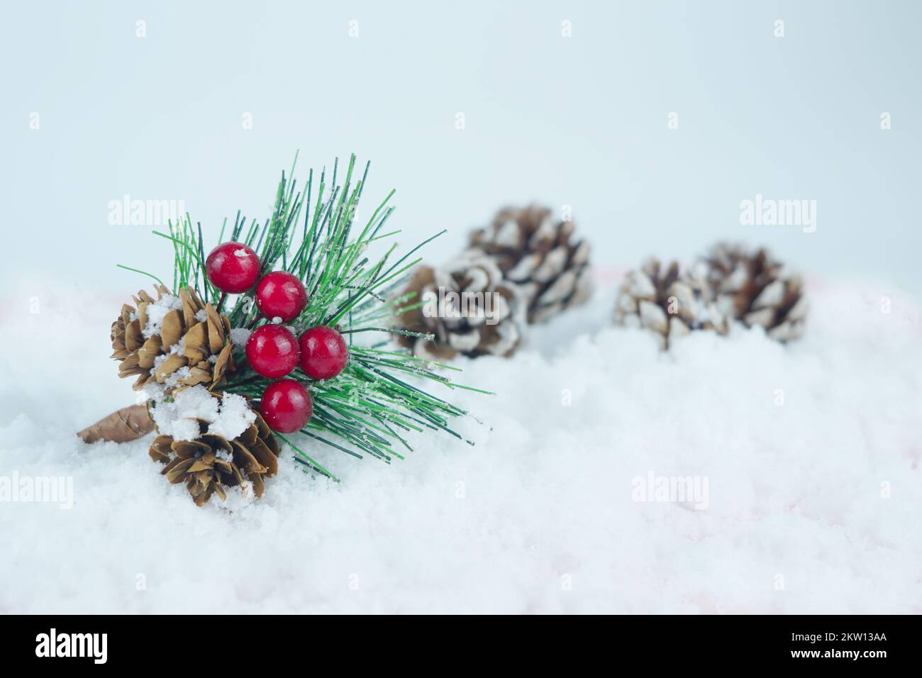 Bucket of pine cone, leaves and red berries on the snow Stock Photo - Alamy
