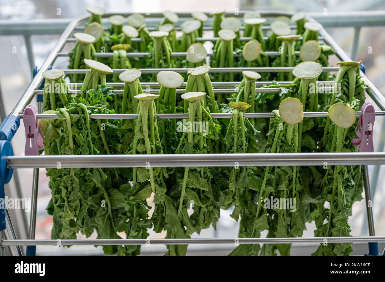 Korean traditional food ingredients. Radish leaves, dried radish leaves