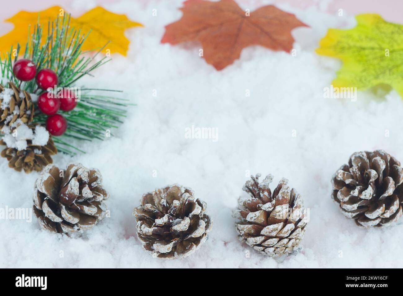 Up of fallen maple leaves on the snow Stock Photo