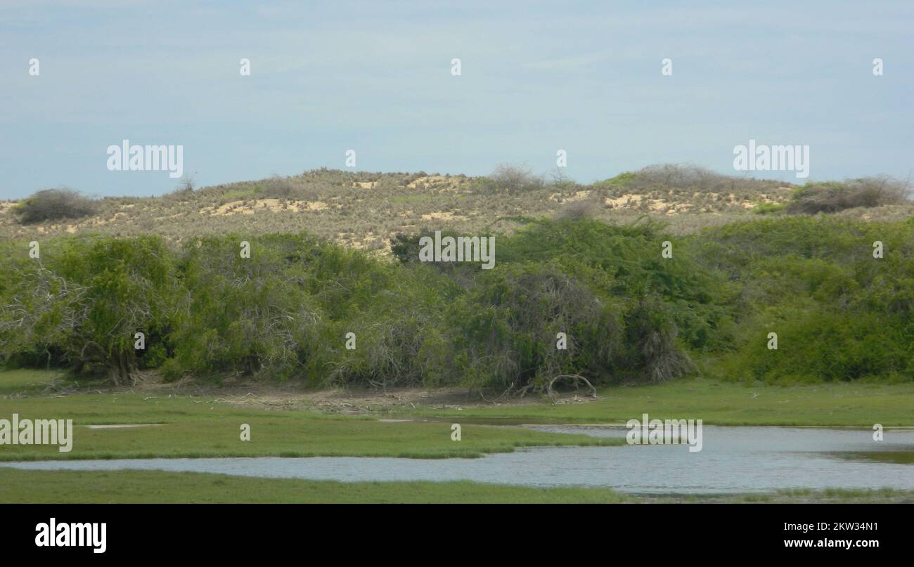 Natural Hazrdous Hi res Stock Photography And Images Alamy natural-hazrdous-hi-res-stock-photography-and-images-alamy
