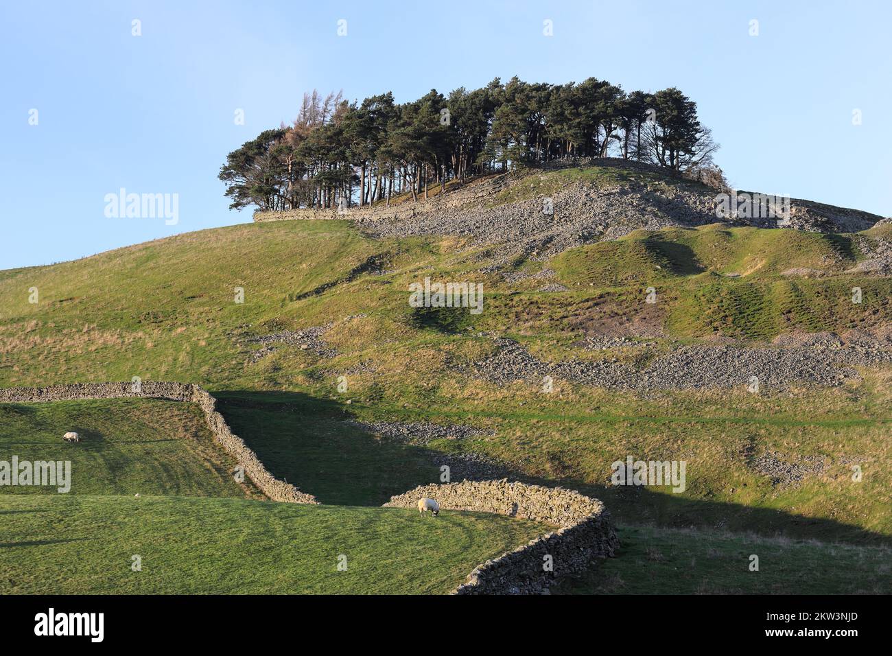 The Tree Covered Burial Mound of Kirkcarrion near Middleton-in-Teesdale, Teesdale, County Durham, UK Stock Photo