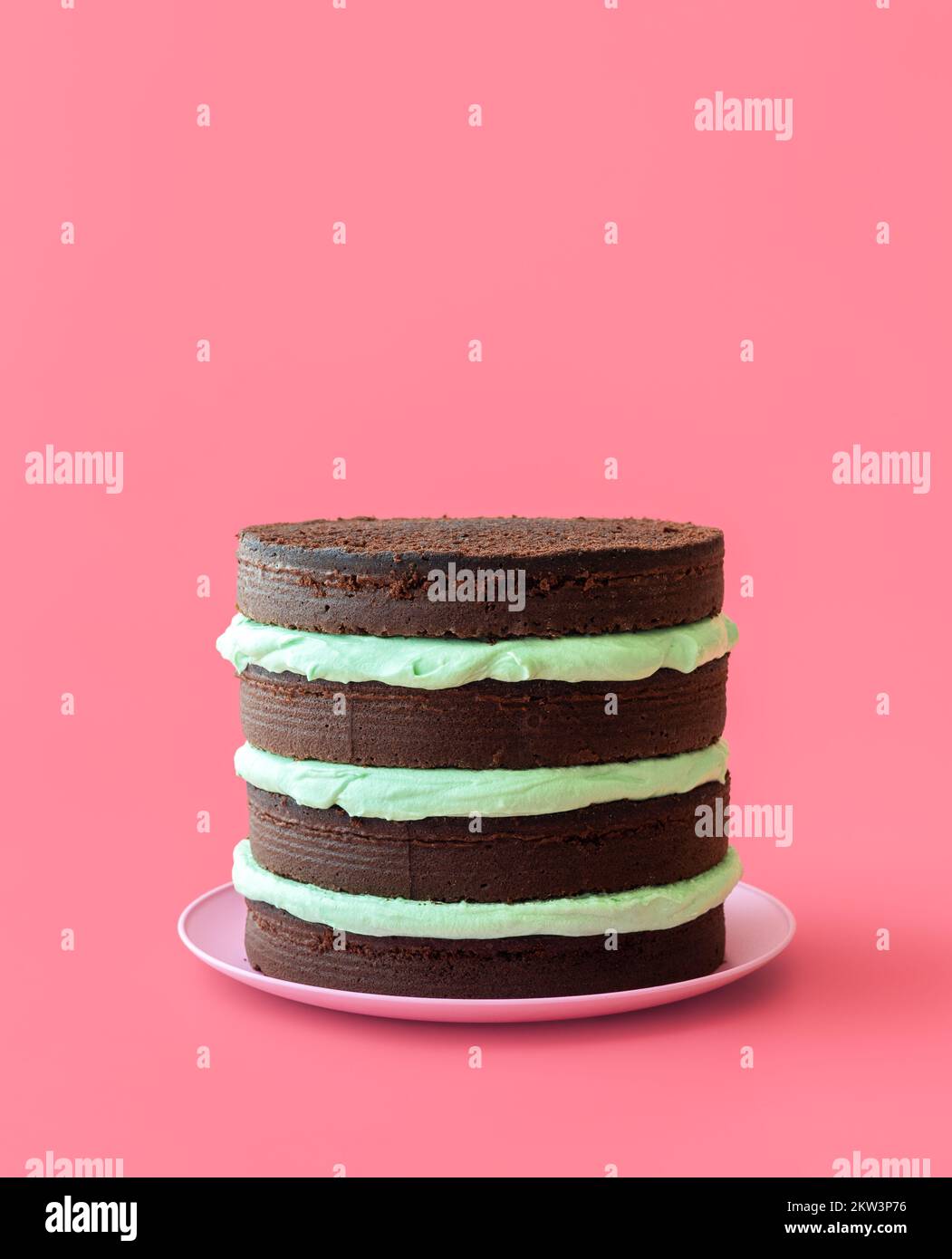 Homemade cake with peppermint cheese cream and chocolate base. Layered cake with mint flavor cream minimalist on a pink table Stock Photo
