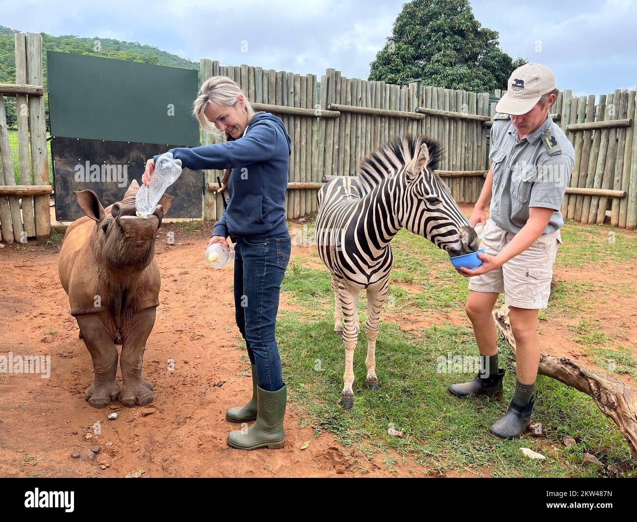 Mbombela, South Africa. 23rd Nov, 2022. Baby rhino Daisy and baby zebra