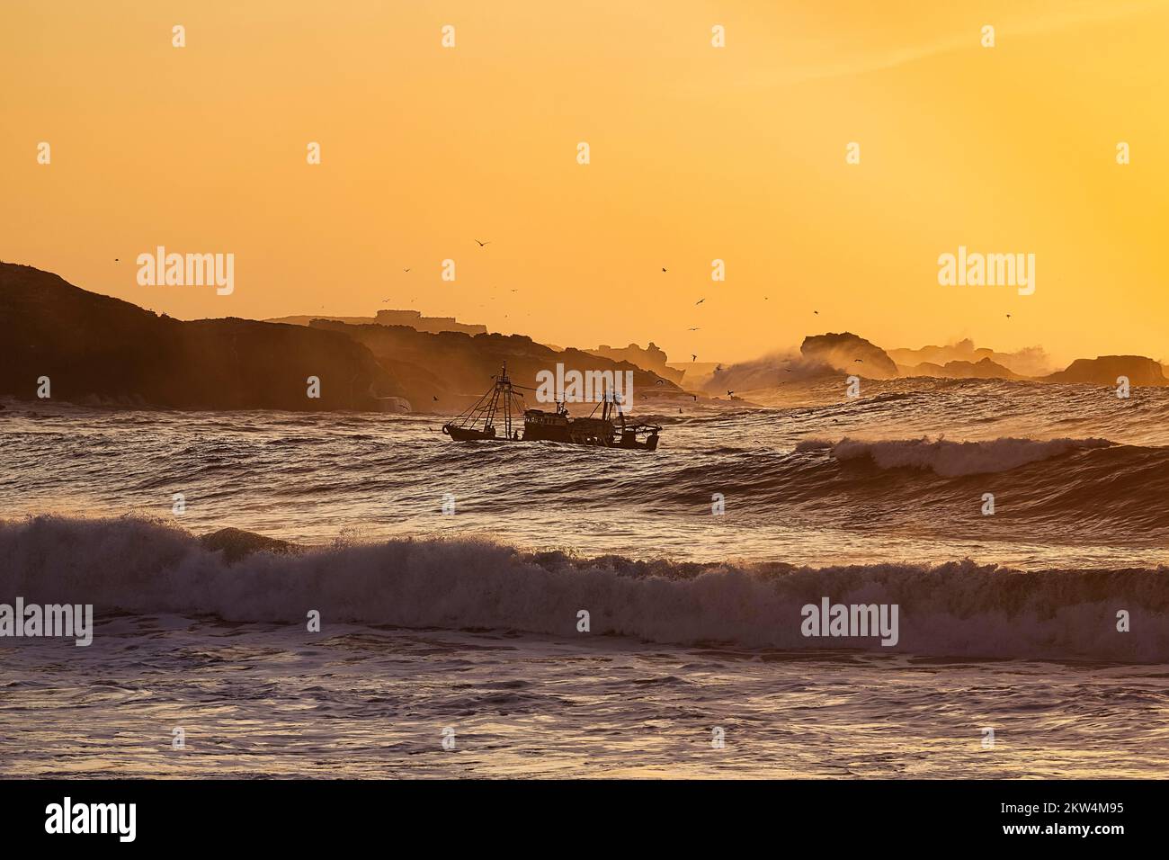 Fishing boat with seagulls between high waves, sunset, Mogador Island, Atlantic coast, Essaouira, Marrakech-Safi, Morocco, Africa Stock Photo