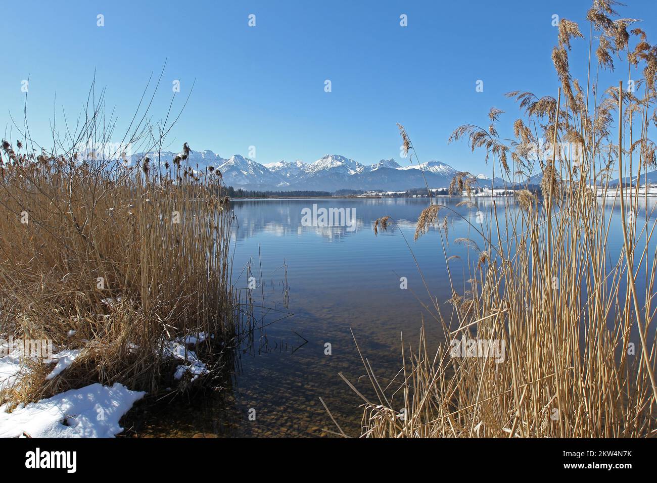 Lake Hopfen in winter with a view of the Allgäu mountains, Allgäu ...