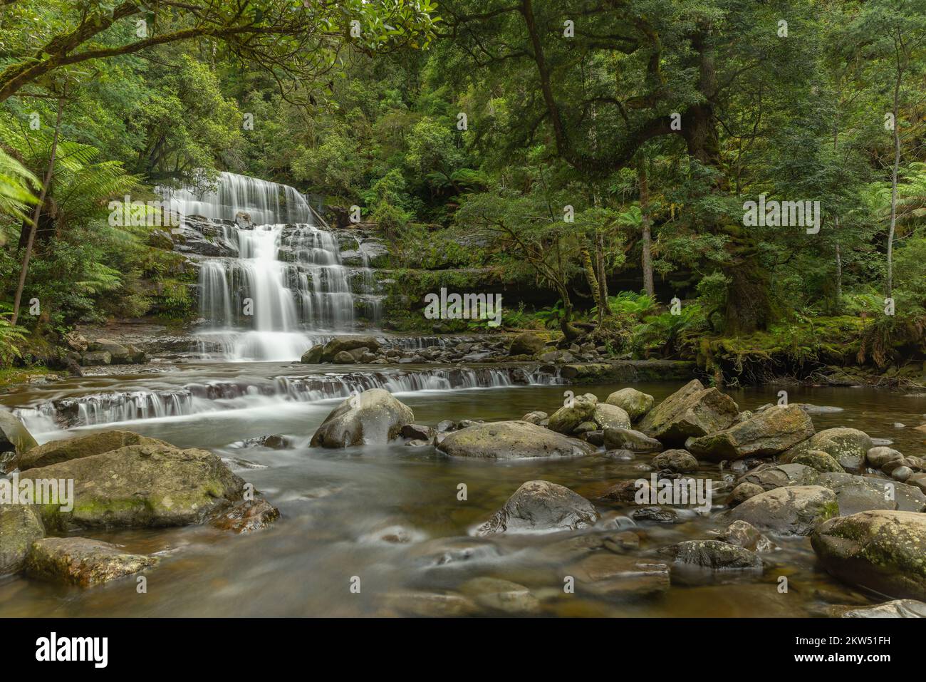 wide angle side view of liffey falls in northern tasmania, australia on a rainy summer day Stock Photo