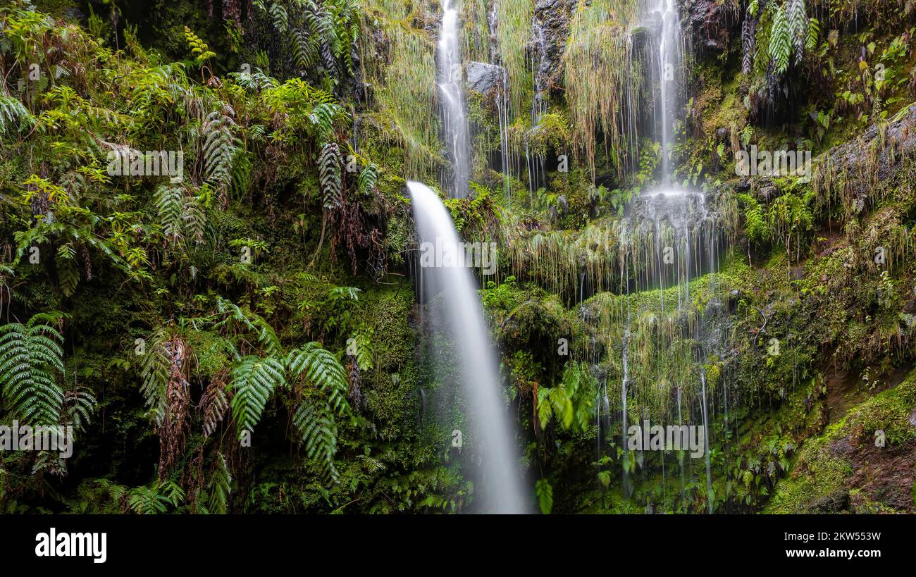 Waterfall between rock faces overgrown with ferns, long exposure, at hiking trail PR9 Levada do Caldeirão Verde, Queimadas Forestry Park, Madeira, Por Stock Photo
