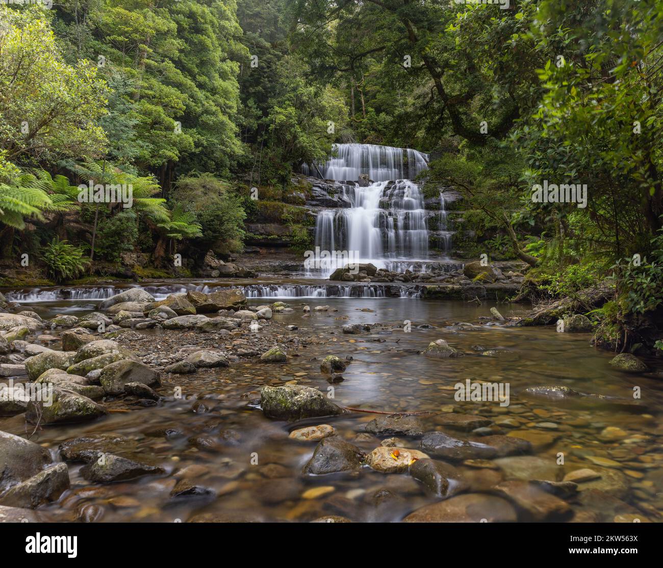 a close front view of liffey waterfall on rainy summer day in northern tasmania, australia Stock Photo