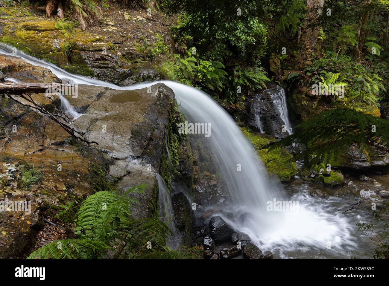 water chute at liffey falls in tasmania Stock Photo Alamy