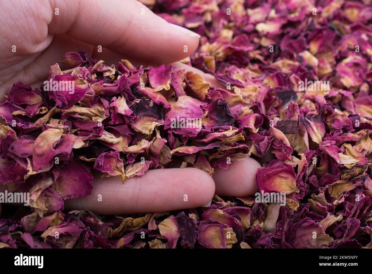Dried rose petals in the bowl Stock Photo - Alamy