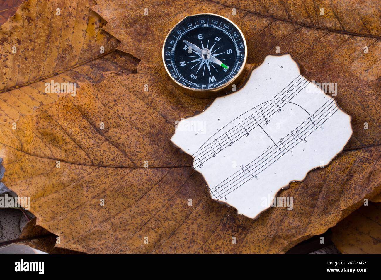 Compass an instrument and paper with musical notes placed on dry leaves ...
