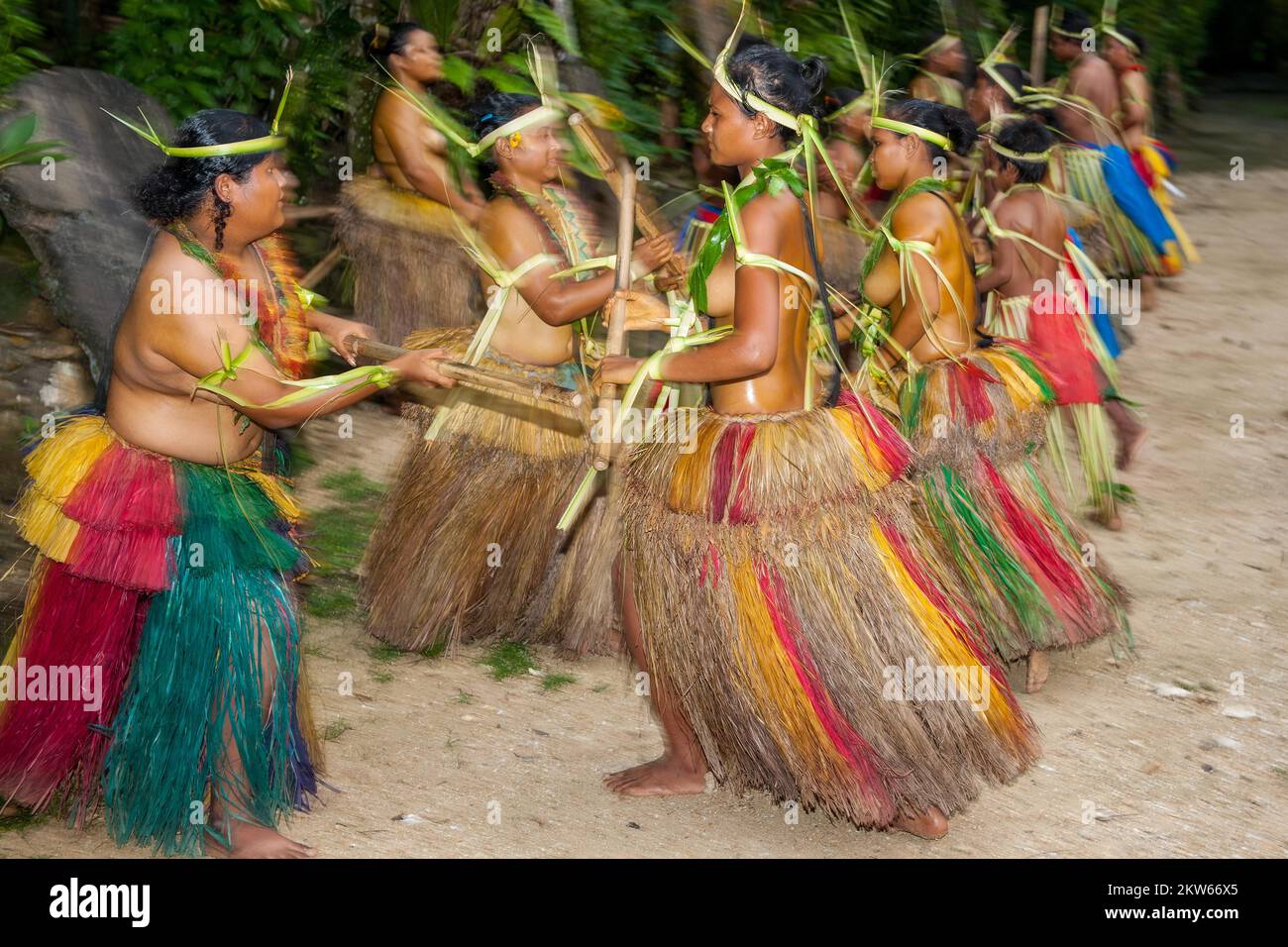 Traditional group of dancers from Yap Island dancing in historical dress headdress performing traditional ritual bamboo dance with bamboo sticks, Yap Stock Photo