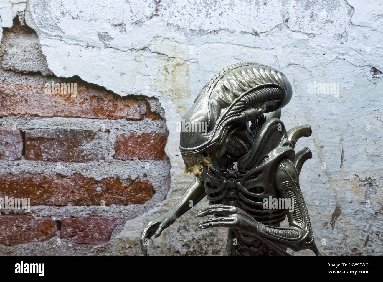 Alien Xenomorph. Action figure from the original Alien movie Stock Photo