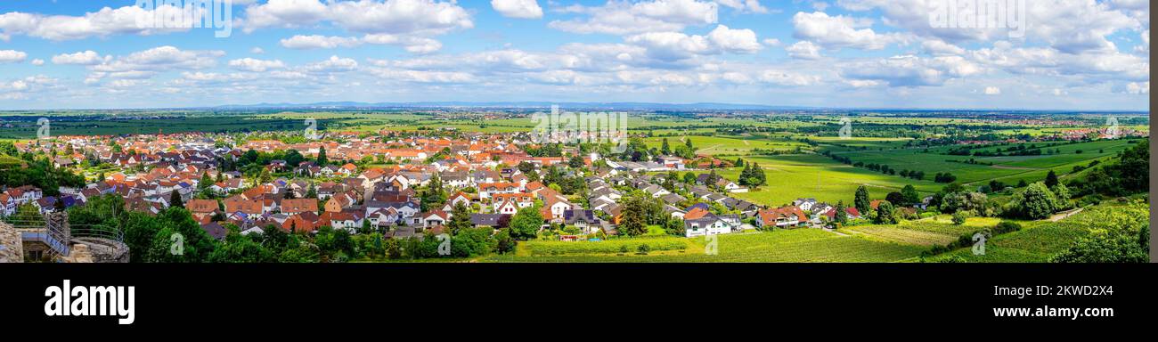 Panoramic view of Wachenhein on the Wine Route. Landscape in summer in Rhineland-Palatinate. Stock Photo