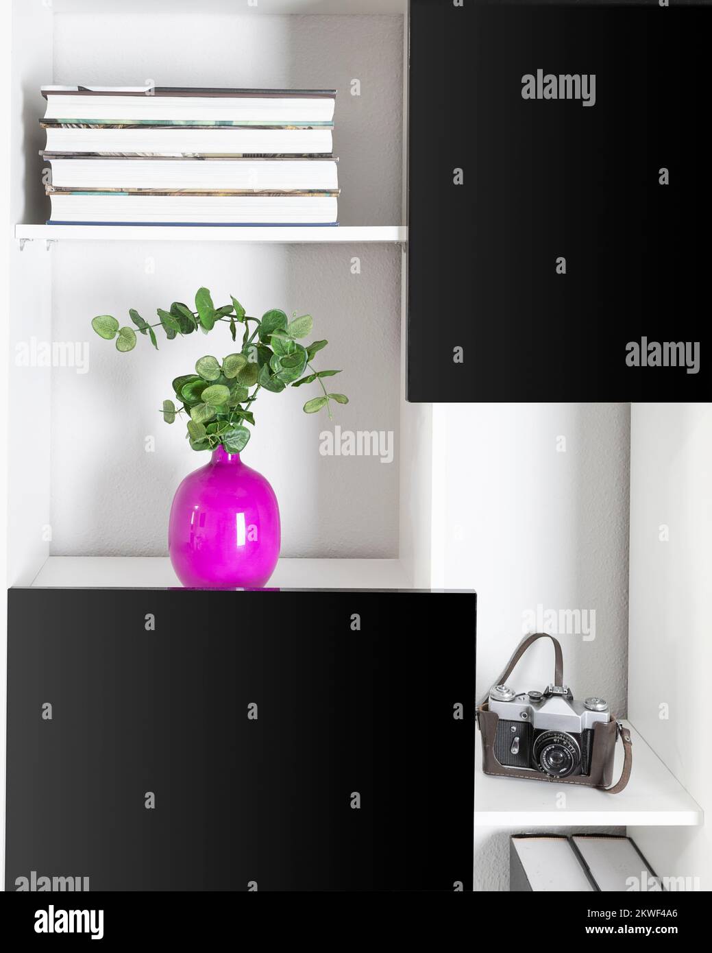 Close up of White black bookshelf with lilac vase with Eucalyptus plant
