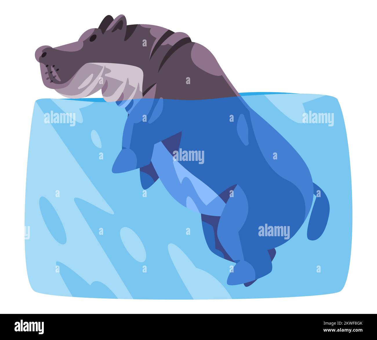 Hippo hippopotamus swim in water big grey african animal illustration in flat cartoon style Stock Vector