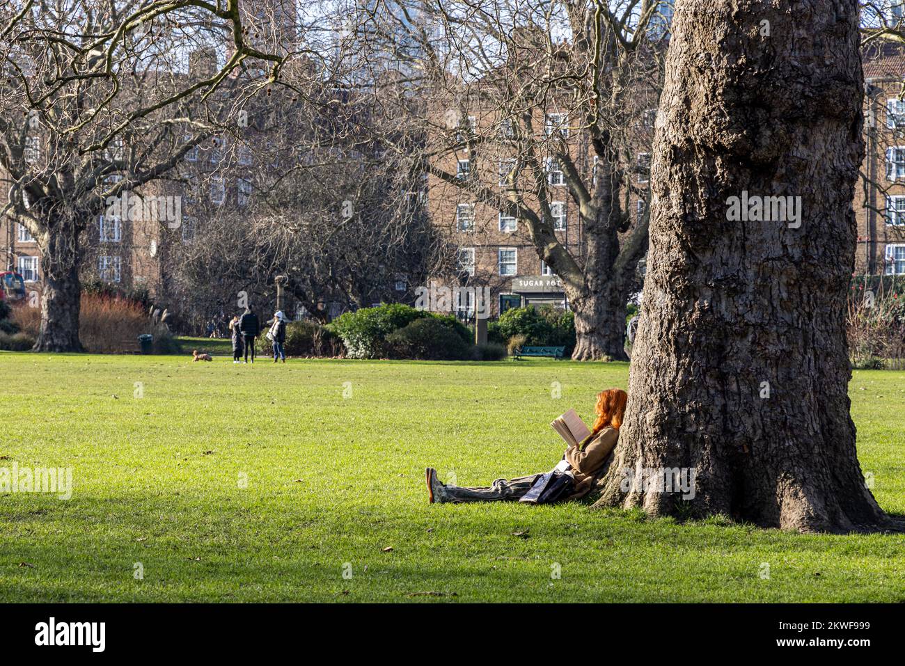 Women sitting by a tree, Kennington Park, London, England Stock Photo