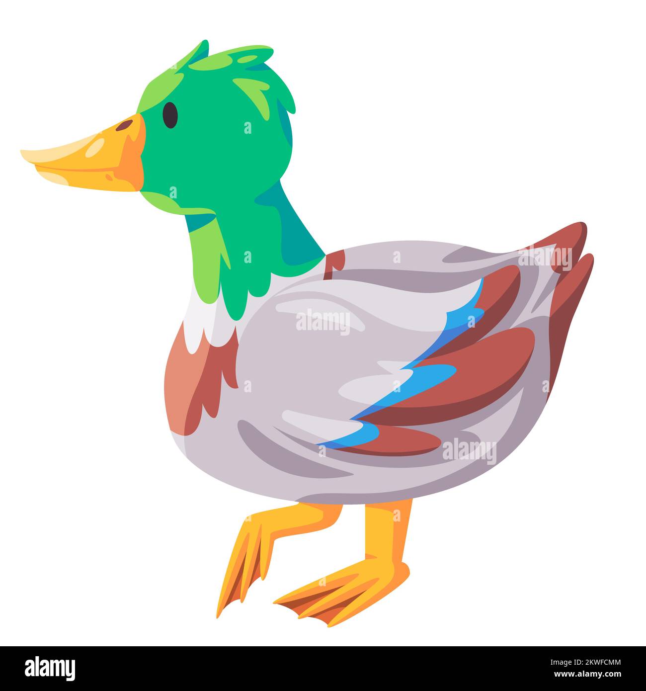 Mallard colorful duck with green head feather illustration cartoon style Stock Vector