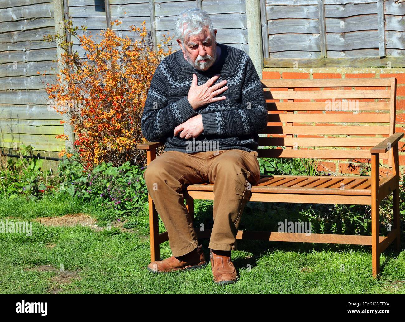 Senior or elderly man clutching his chest in pain. Heart attack, angina or chest problems. Stock Photo