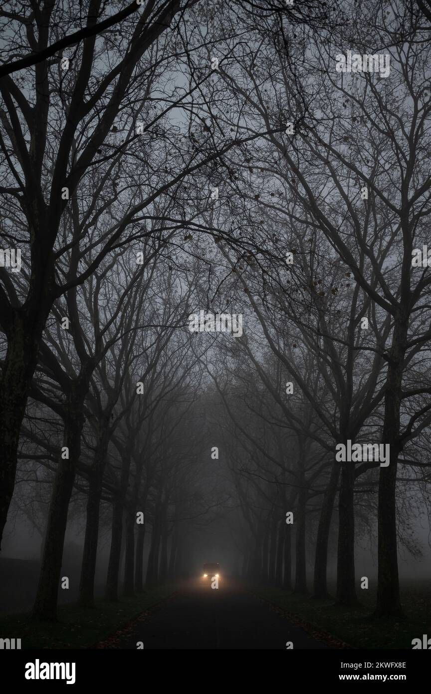 Illustration picture shows foggy autumn weather at the Schoonselhof