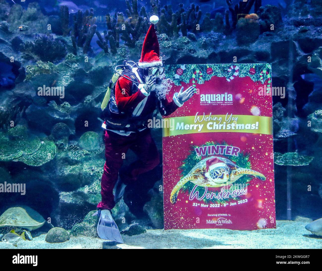 Kuala Lumpur, Malaysia. 30th Nov, 2022. A diver dressed as Santa Claus performs in a fish tank during a Make-A-Wish charity event at the Aquaria KLCC. The joint event between Aquaria KLCC and the Make-A-Wish organization of Malaysia, is to help the children's wishes and dreams be fulfilled! Credit: SOPA Images Limited/Alamy Live News Stock Photo
