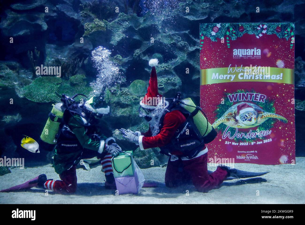 Kuala Lumpur, Malaysia. 30th Nov, 2022. Divers dressed as Santa Claus and Elf perform in a fish tank during a Make-A-Wish charity event at the Aquaria KLCC. The joint event between Aquaria KLCC and the Make-A-Wish organization of Malaysia, is to help the children's wishes and dreams be fulfilled! Credit: SOPA Images Limited/Alamy Live News Stock Photo