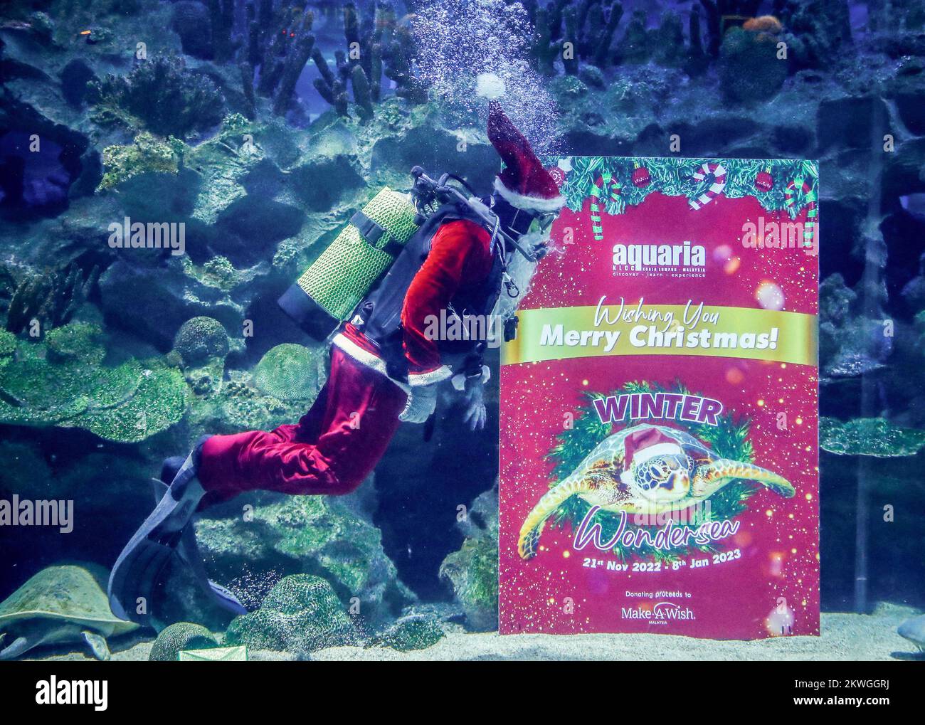 Kuala Lumpur, Malaysia. 30th Nov, 2022. A diver dressed as Santa Claus performs in a fish tank during a Make-A-Wish charity event at the Aquaria KLCC. The joint event between Aquaria KLCC and the Make-A-Wish organization of Malaysia, is to help the children's wishes and dreams be fulfilled! Credit: SOPA Images Limited/Alamy Live News Stock Photo