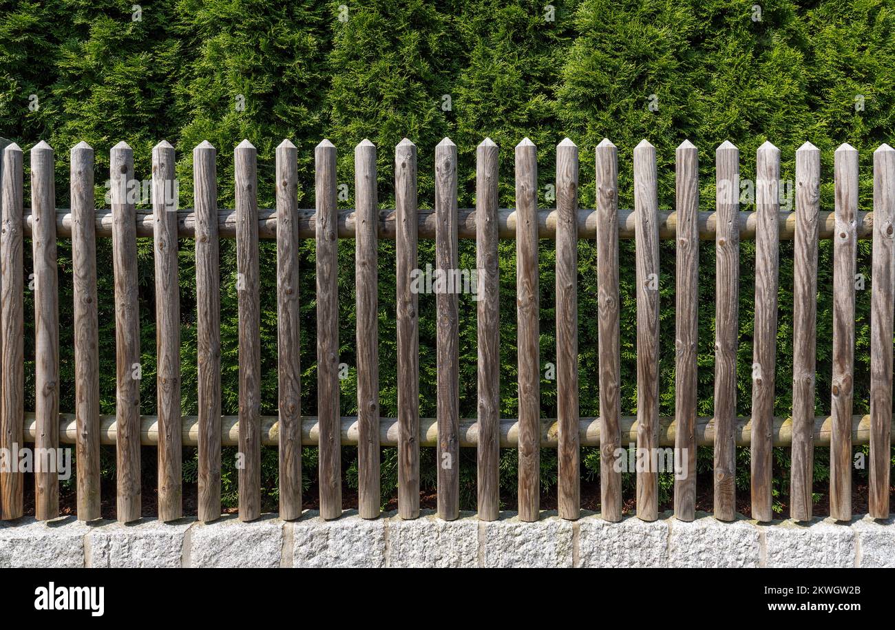 Garden fence made of wood in front of a thuja hedge Stock Photo