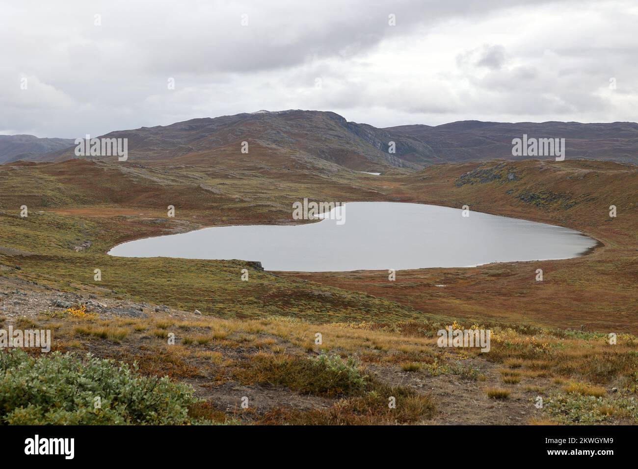 Tundra landscape near the Greenland town of Kangerlussuaq, Greenland, Denmark Stock Photo