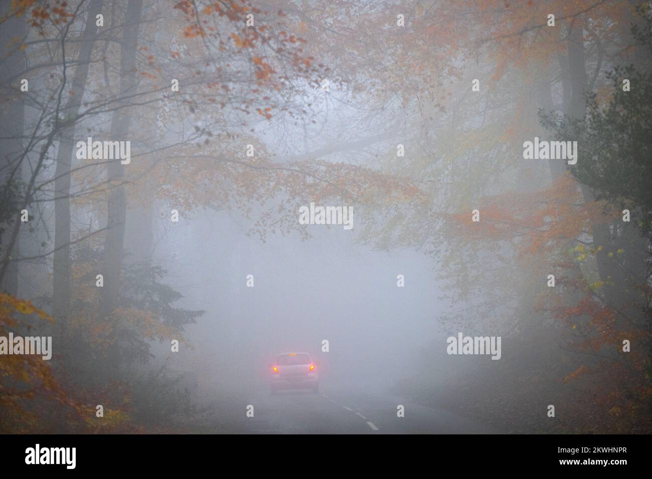 Thick fog making for difficult driving conditions on a road near the