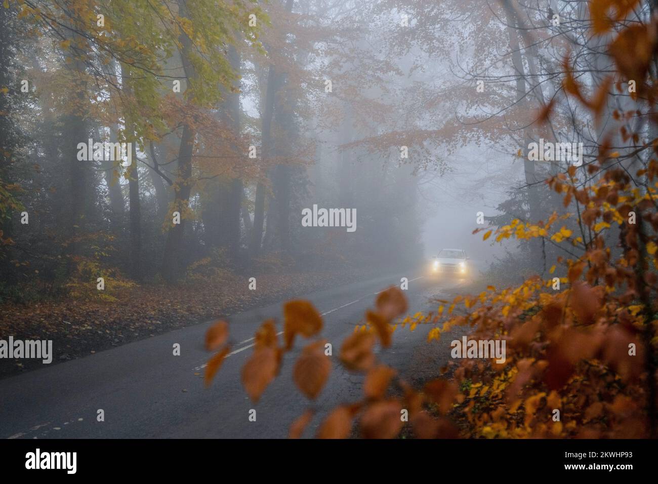 Thick fog making for difficult driving conditions on a road near the