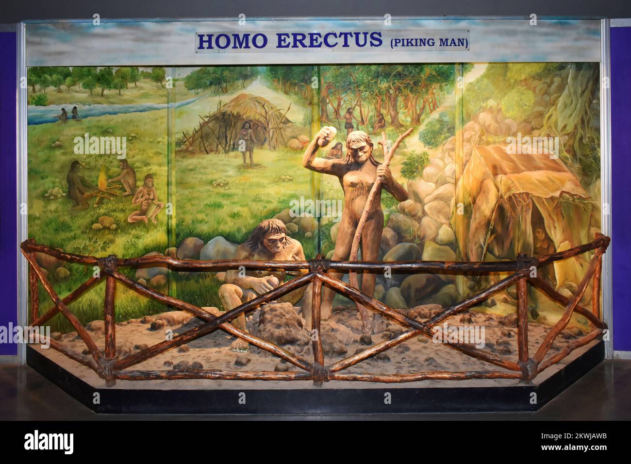 HOMO ERECTUS - Piking Man, sculpture at the Museum in Science City, Ahmedabad, Gujrat, India Stock Photo