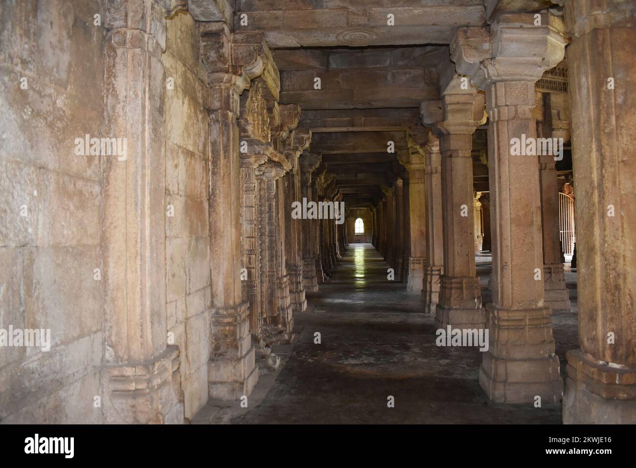 Shaher ki Masjid, Interior view, Stone carvings on Pillars, built by Sultan Mahmud Begada 15th - 16th century. A UNESCO World Heritage Site, Gujarat, Stock Photo