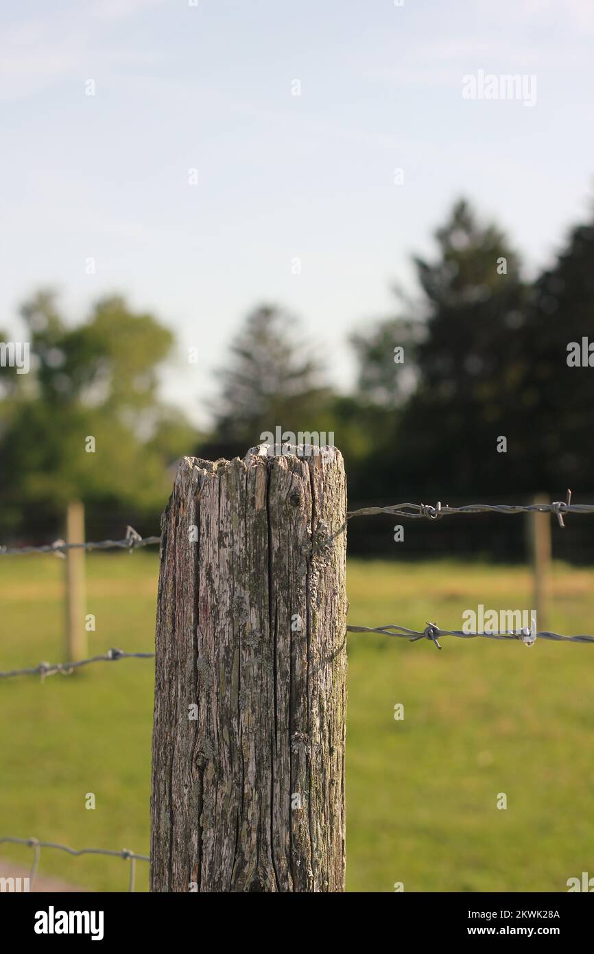 A traditional rural wooden fence post standing in the fields Stock