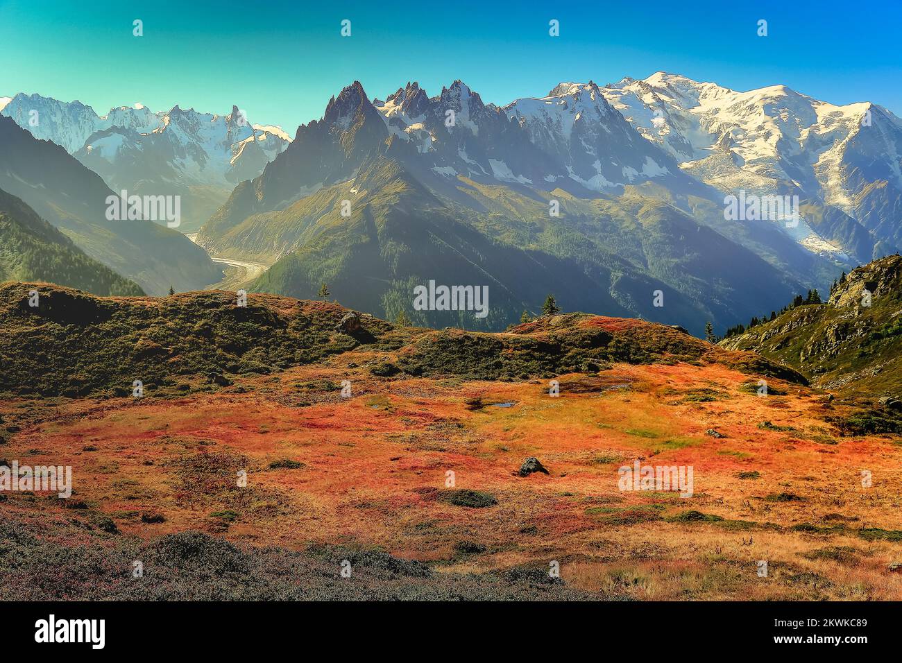 Mont Blanc massif idyllic alpine landscape countryside, Chamonix, French Alps Stock Photo