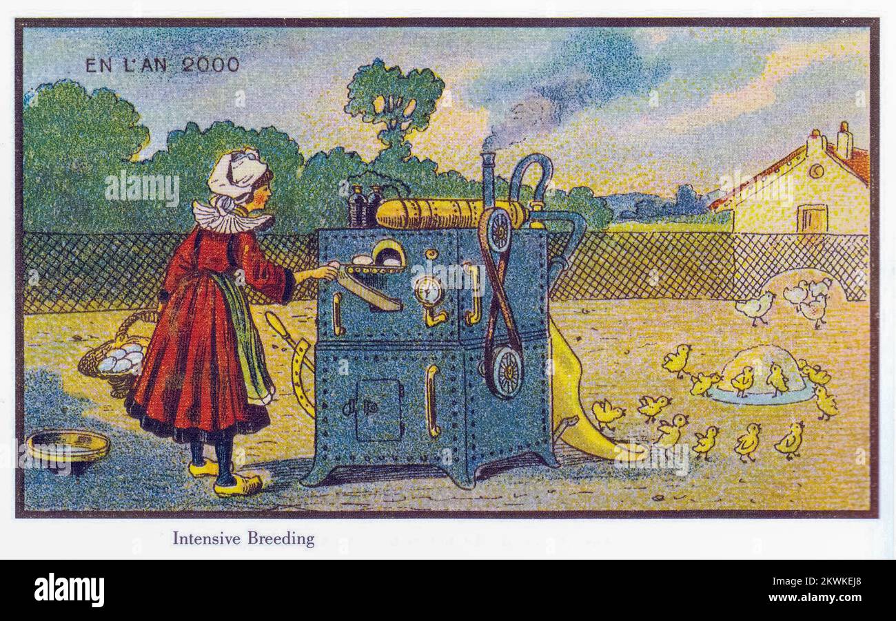 Intensive Breeding from the series France En L'an 2000 France in the Year 2000 (XXI century) a series of futuristic pictures by Jean-Marc Côté and other artists issued in France in 1899, 1900, 1901 and 1910. Originally in the form of paper cards enclosed in cigarette/cigar boxes and, later, as postcards, the images depicted the world as it was imagined to be like in the year 2000. Stock Photo
