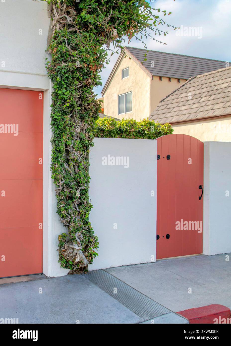 Vertical Garage and gate with coral pink palette at La Jolla, California. There is a crawling