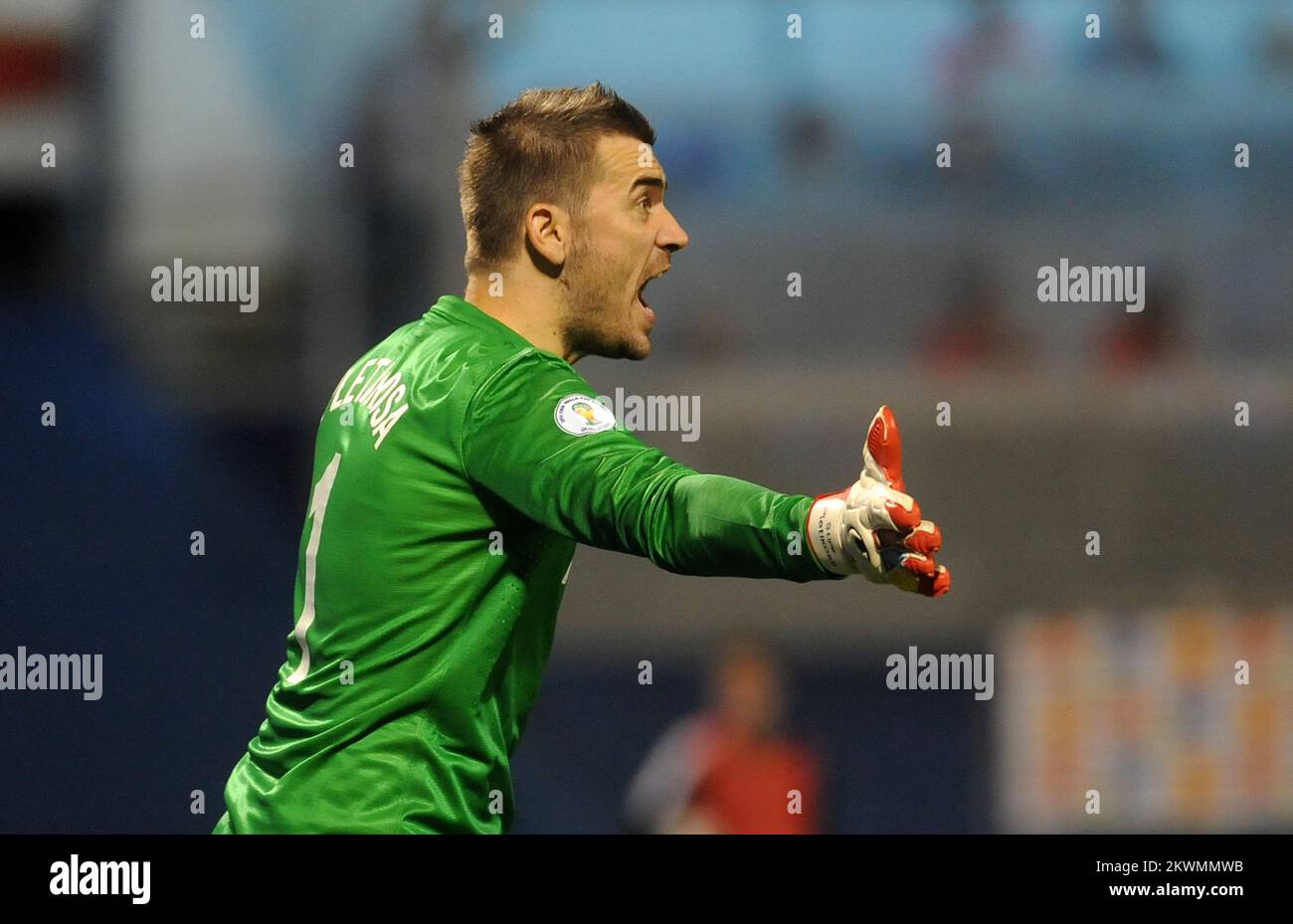 07.09.2012., Maksimir stadium, Zagreb, Croatia - 2014 FIFA World Cup Brazil, qualifiers, group A, round 1, Croatia - Macedonia. Stipe Pletikosa.  Photo: Daniel Kasap/PIXSELL Stock Photo