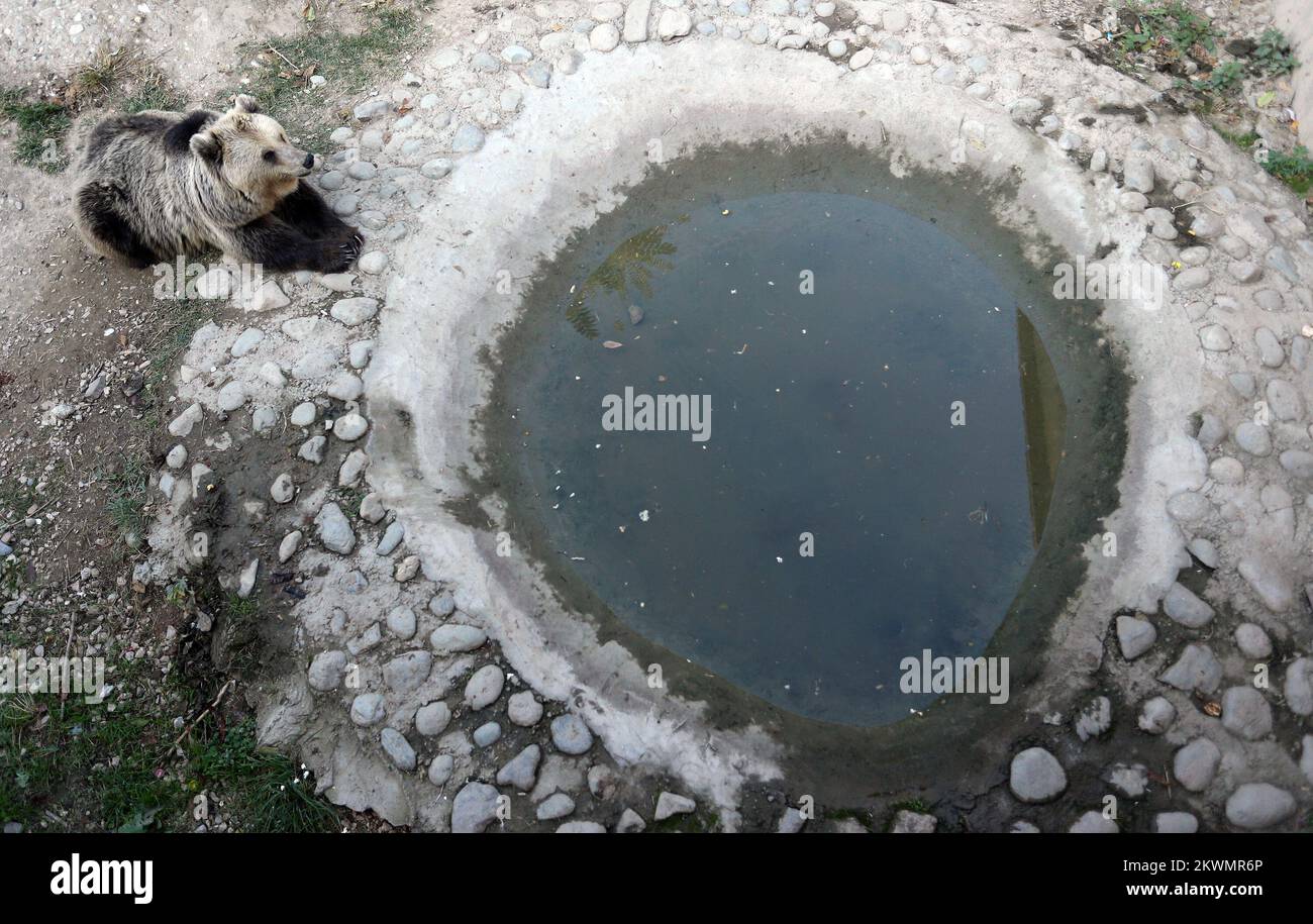 11.10.2012., Skopje, Macedonia ZOO in Skopje was founded in 1926 by a