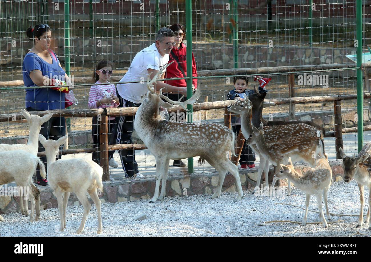 11.10.2012., Skopje, Macedonia ZOO in Skopje was founded in 1926 by a