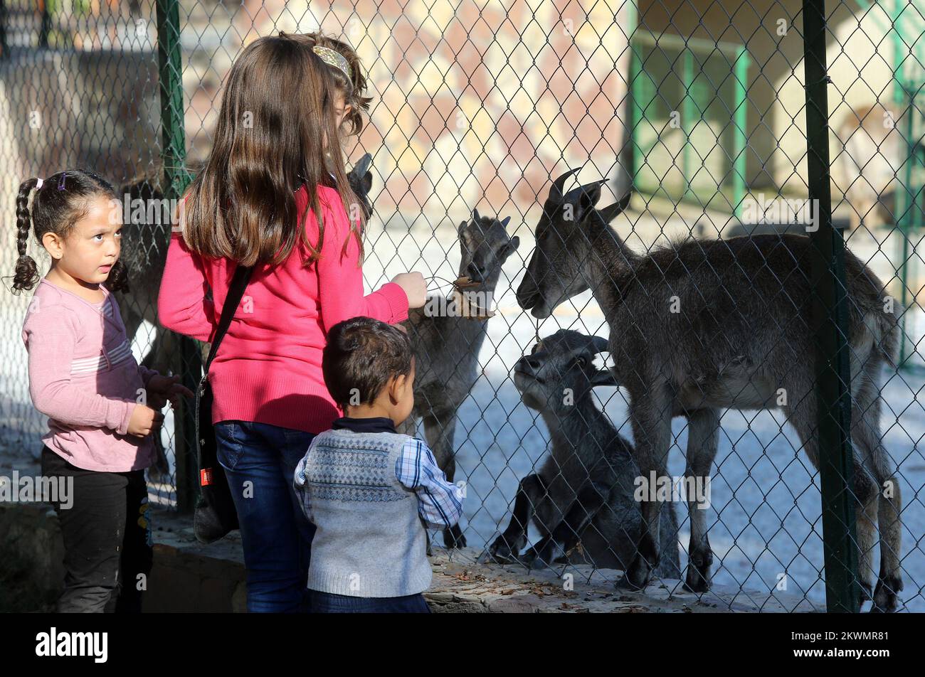 11.10.2012., Skopje, Macedonia ZOO in Skopje was founded in 1926 by a
